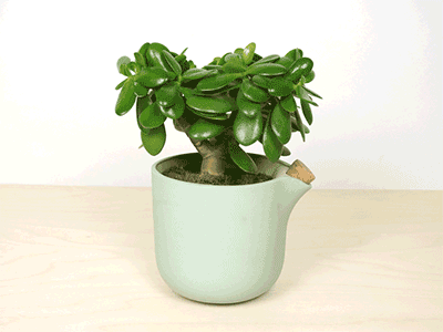 创意花盆的温馨提示 你该给我浇水了