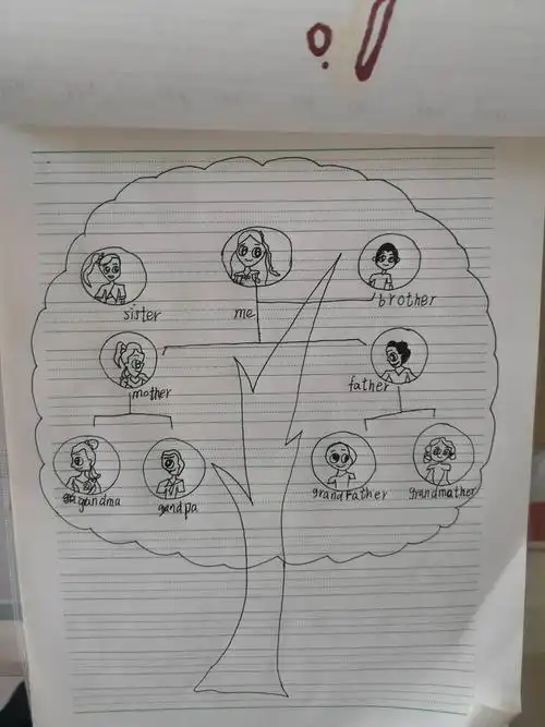 3下英语家庭树作业展