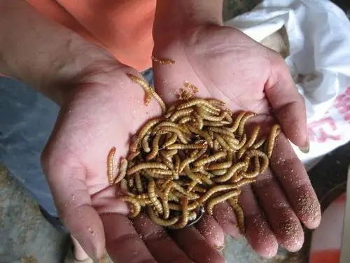 国际在线娱乐城