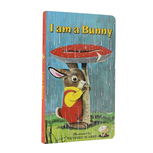 i am a bunny我是一只兔子0-3岁儿童英文启蒙绘本宝宝幼儿认知入门