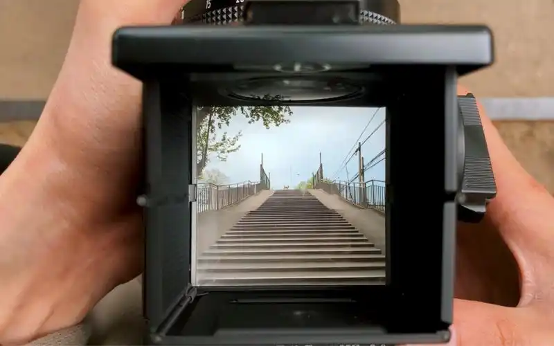 胶片摄影 哈苏501c 胶片相机 胶卷 取景器里的世界 直出 照片 原片