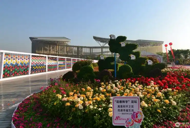 第八届南阳月季花展印象(3) 点评 云溪居士   漂亮作品,精彩抓拍