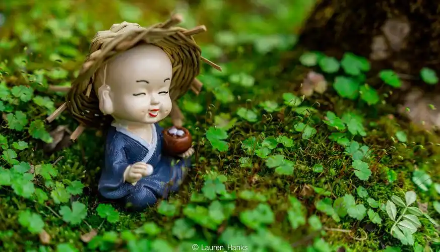 小和尚的佛系生活