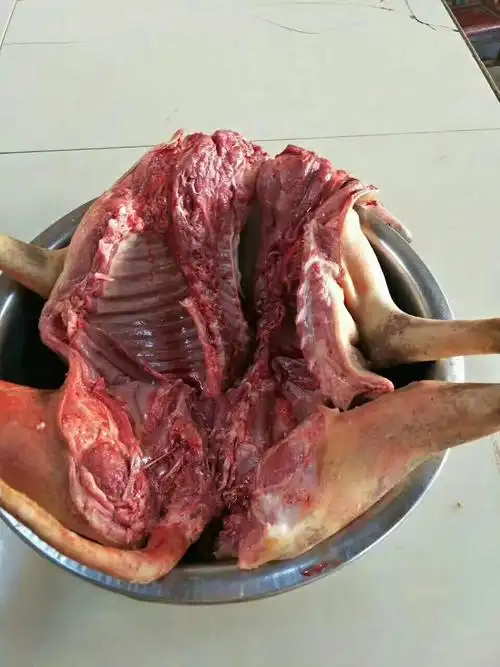 供应本地狗肉,现杀现买