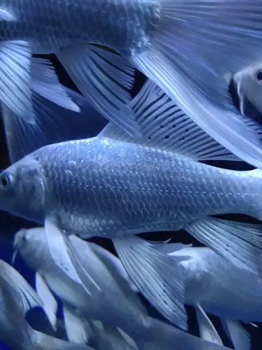 各位大神帮帮忙