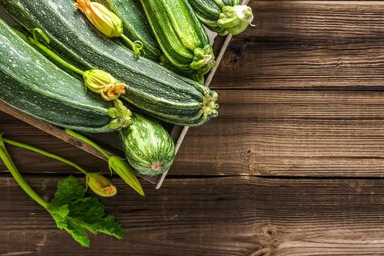 how to grow courgettes