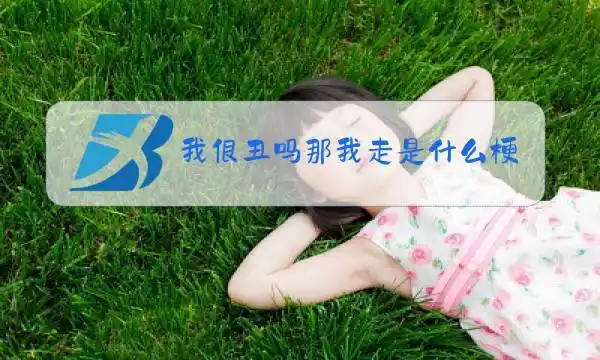 我很丑吗那我走是什么梗