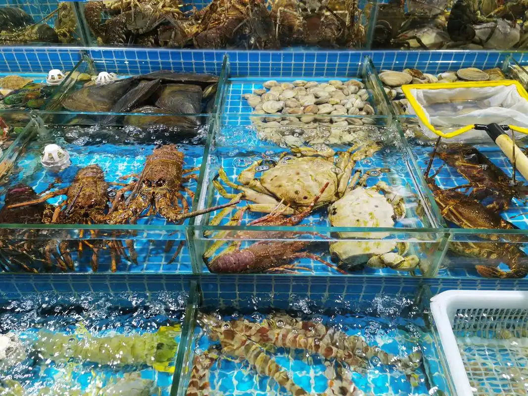 在三四线小县城开海鲜水产店怎么样?需要注意哪些方面?