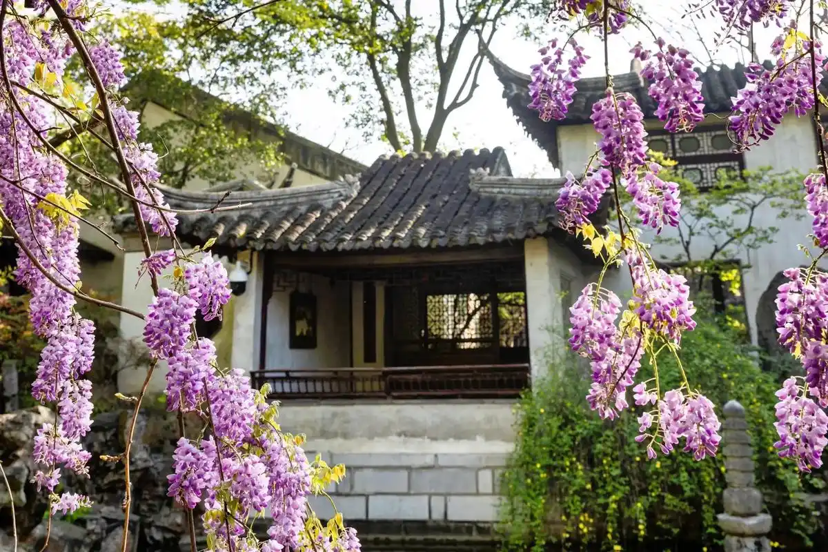 {留园位于苏州阊门外留园路338号,以园内建筑布置精巧 - 抖音