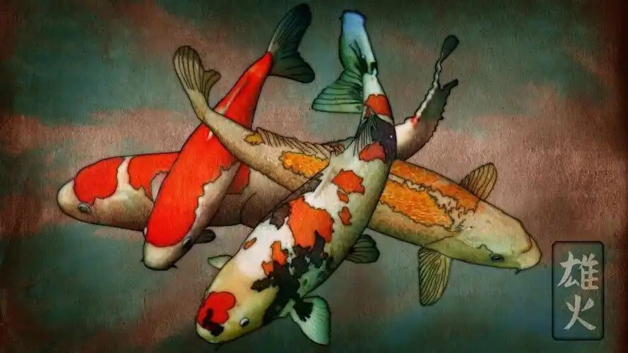 锦鲤koi壁纸15