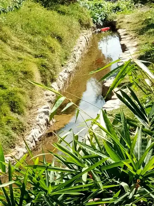 能养鱼的小水渠