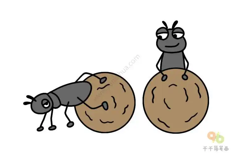 屎壳郎简笔画幼儿