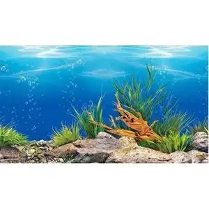 画高清壁画墙纸壁纸水族鱼缸图贴纸背面背景3d造景多贴画图案.