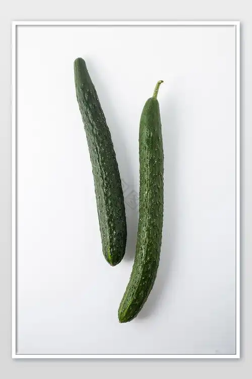 食材黄瓜