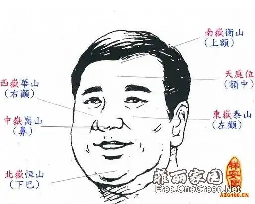 额头有横纹面相算命分析