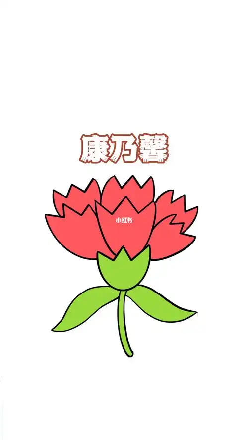 康乃馨简笔画