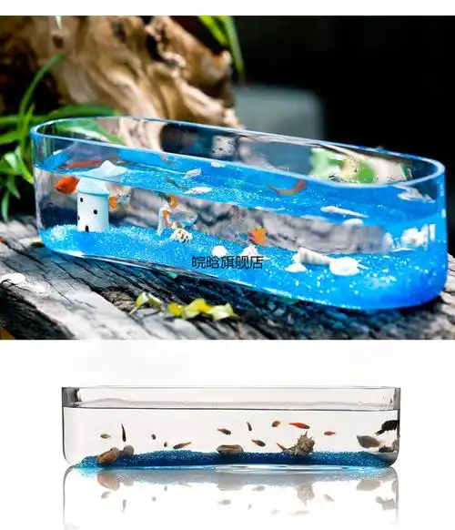 2022新款小鱼缸网红玻璃鱼缸小型客厅创意桌面生态金鱼缸长方形迷你