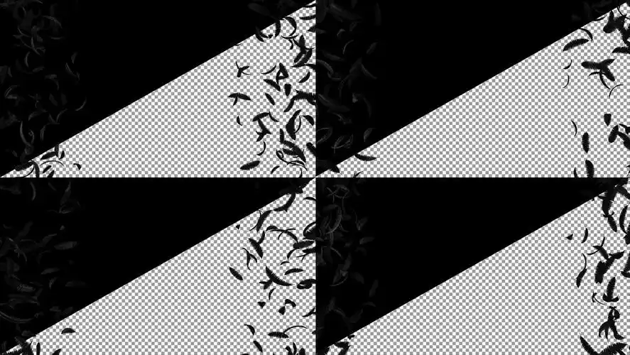 黑色羽毛从两侧散落无缝循环视频素材 带alpha透明通道 60帧画质检查