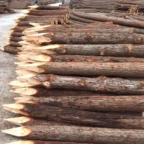 松木桩 打桩木 防汛木桩木桩湿地松 松桩 松柱 河道木桩松木