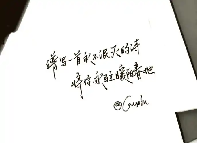 94白底黑字头像纯文字大放送95