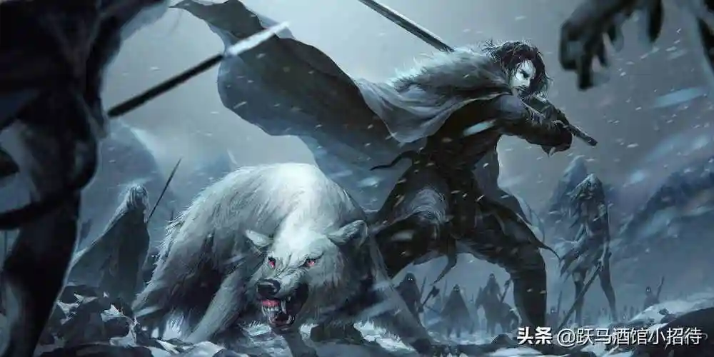 今日更新罗柏史塔克几个关于少狼主罗柏史塔克的可怕推测