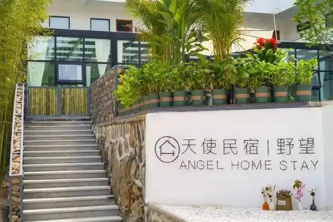 以上民宿均位于嵩县,依次是:云合山间民宿,归巢民宿,伴园民宿,白云