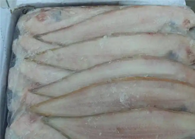 方箱舌鳎鱼 规格200/250 g 250/300g 龙利鱼 舌头鱼 鳎板鱼图片