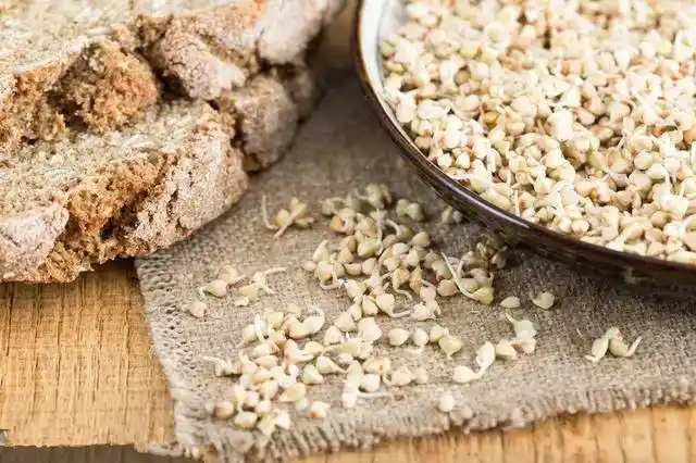 荞麦芽——小身板大能量,越吃越有营养,你造吗?