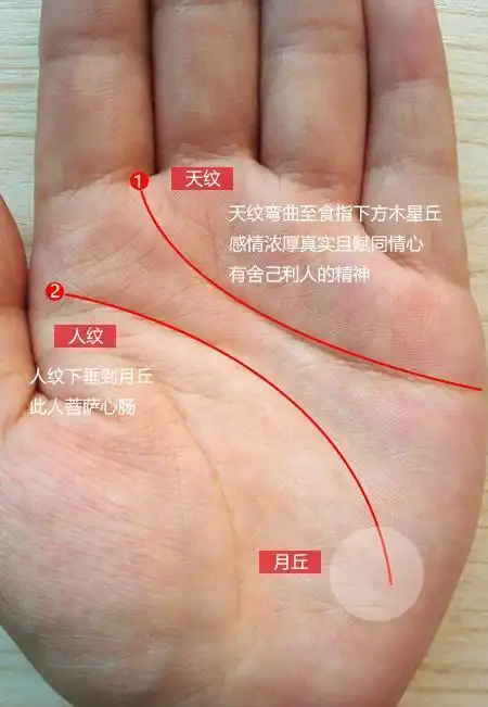 这样的手相适合创业,男人必看!