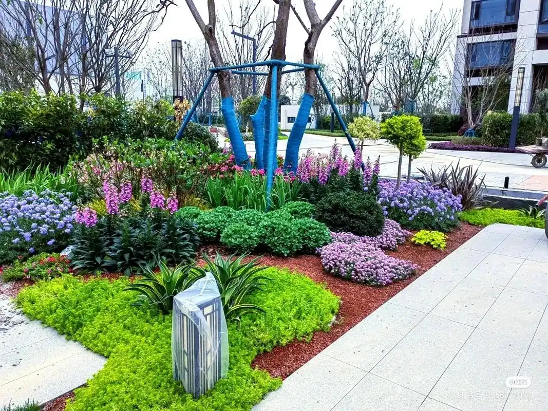园林景观 #园林景观设计 #庭院景观 分享一组现代花境组摆 - 抖音