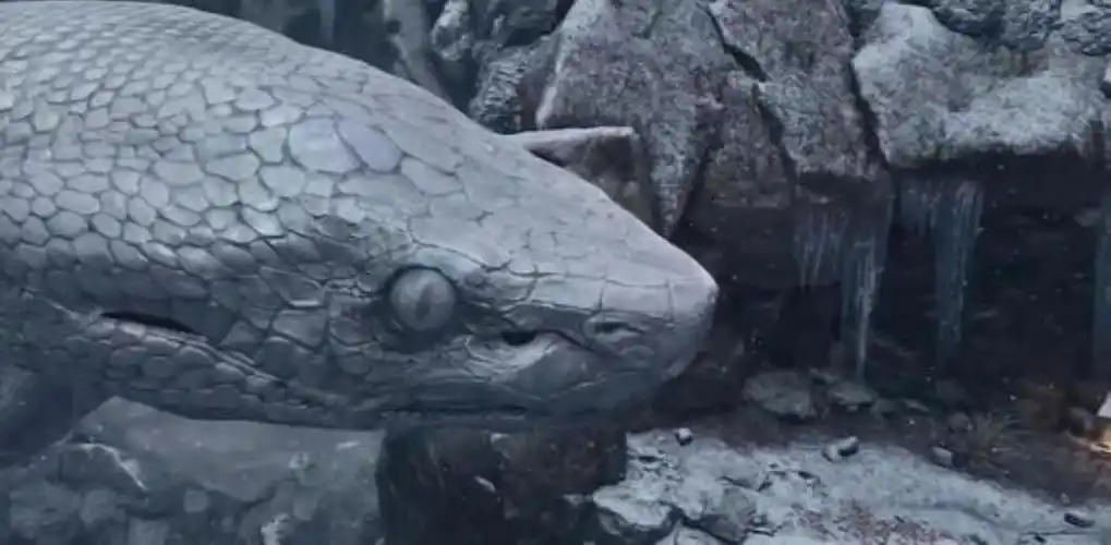 马来西亚巨蛇事件30米的龙头巨蟒是真是假