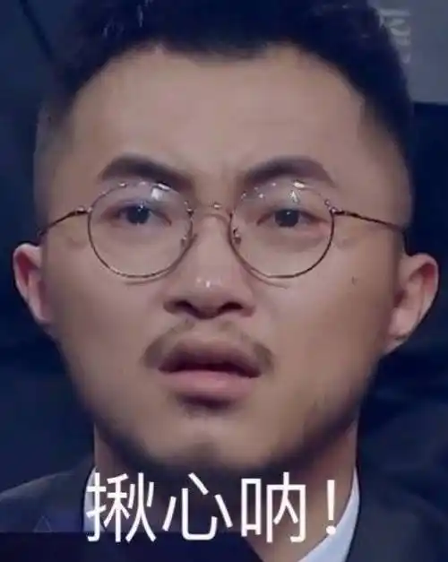 声入人心 表情包