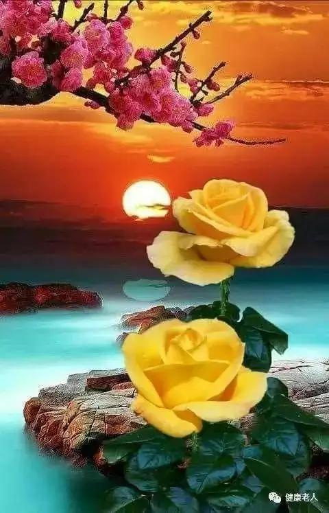 绝密美照实在是太美了美到心醉