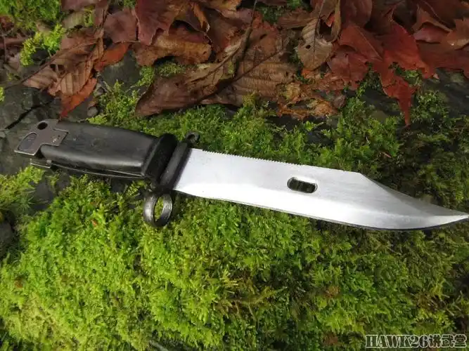 美国枪迷示范野外生存时该如何使用ak刺刀附视频