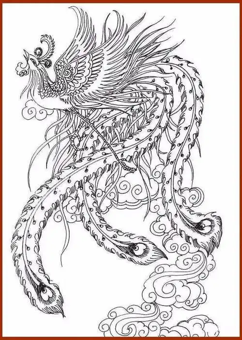 素材| 一组优美的凤凰白描线稿18图