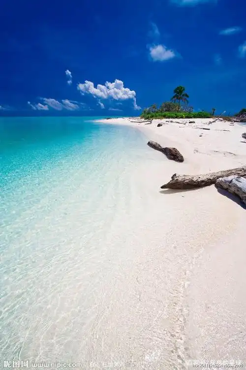 美丽动人的大海图丽图片