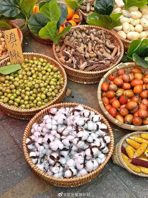 云南水果脑袋的天堂#  大理是水果爱好者天堂吧!实现水果自由!