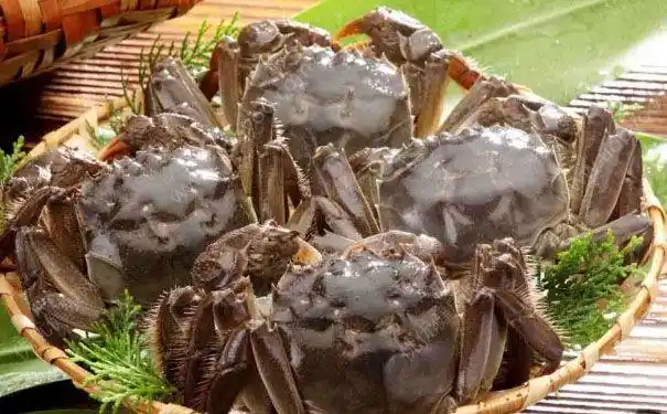 在螃蟹身上,就能保存一段时间了;其次,还能把活蟹放在水里养一段时间