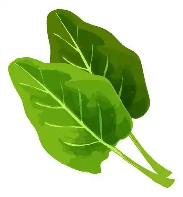 卡通两片绿色菜叶元素