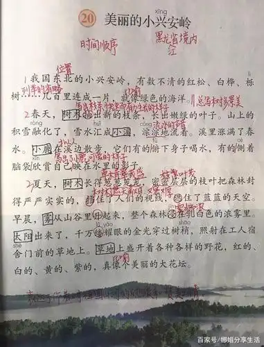 三年级语文上册,第20课《美丽的小兴安岭》课文笔记