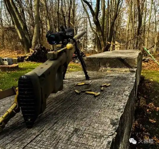 往期精选在游戏中神一样的存在l96a1狙击步枪