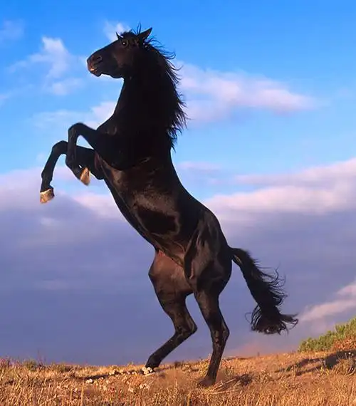 威客 fulingtong 的稿件