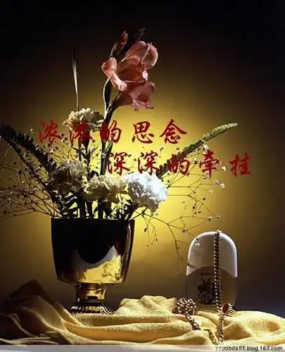 浓浓的思念 深深的牵挂_生如夏花之绚烂 死若秋叶之静美_netor评论