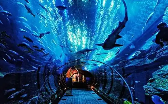 开封极地海洋馆好玩么2019开封极地海洋馆新年攻略
