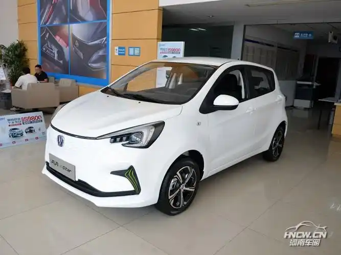 2020款长安新能源奔奔estar