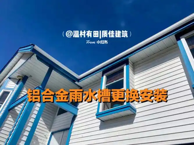 温哥华独立屋雨水槽更换安装小记