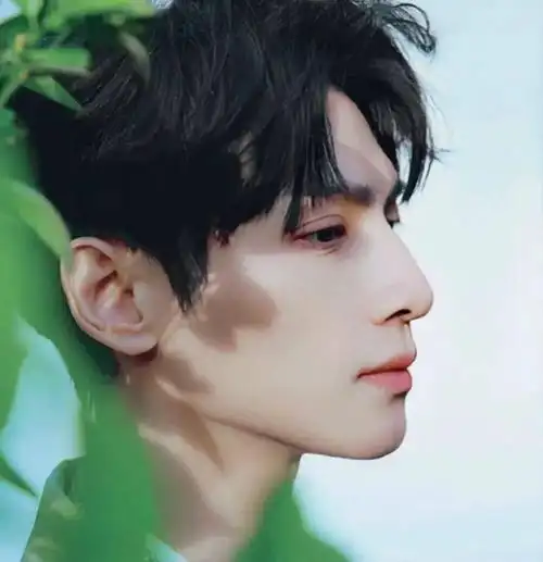 微信头像赵露思罗云熙