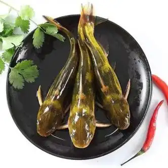 伊杰蔻黄骨鱼昂刺鱼 淡水鱼新鲜速冻黄骨鱼黄格鱼黄辣丁鲜活现杀淡水