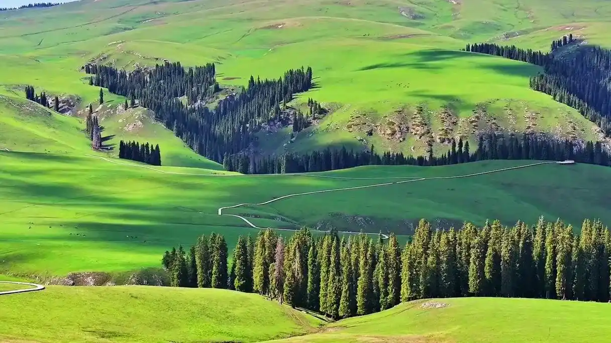 伊犁的花海,你去看过了吗?新疆,汇集了沙漠戈壁,草原高山,峡 - 抖音