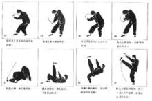 醉八仙拳